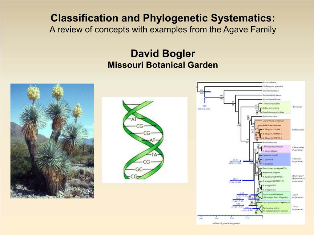 Classification and Phylogenetic Systematics: a Review of Concepts with Examples from the Agave Family