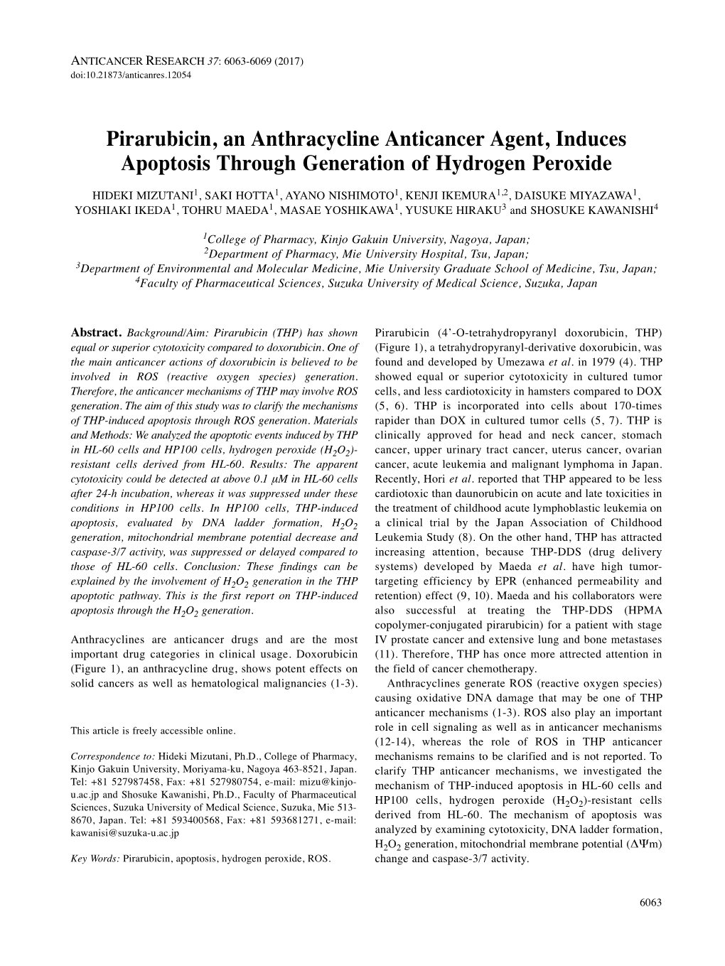 Pirarubicin, an Anthracycline Anticancer Agent, Induces