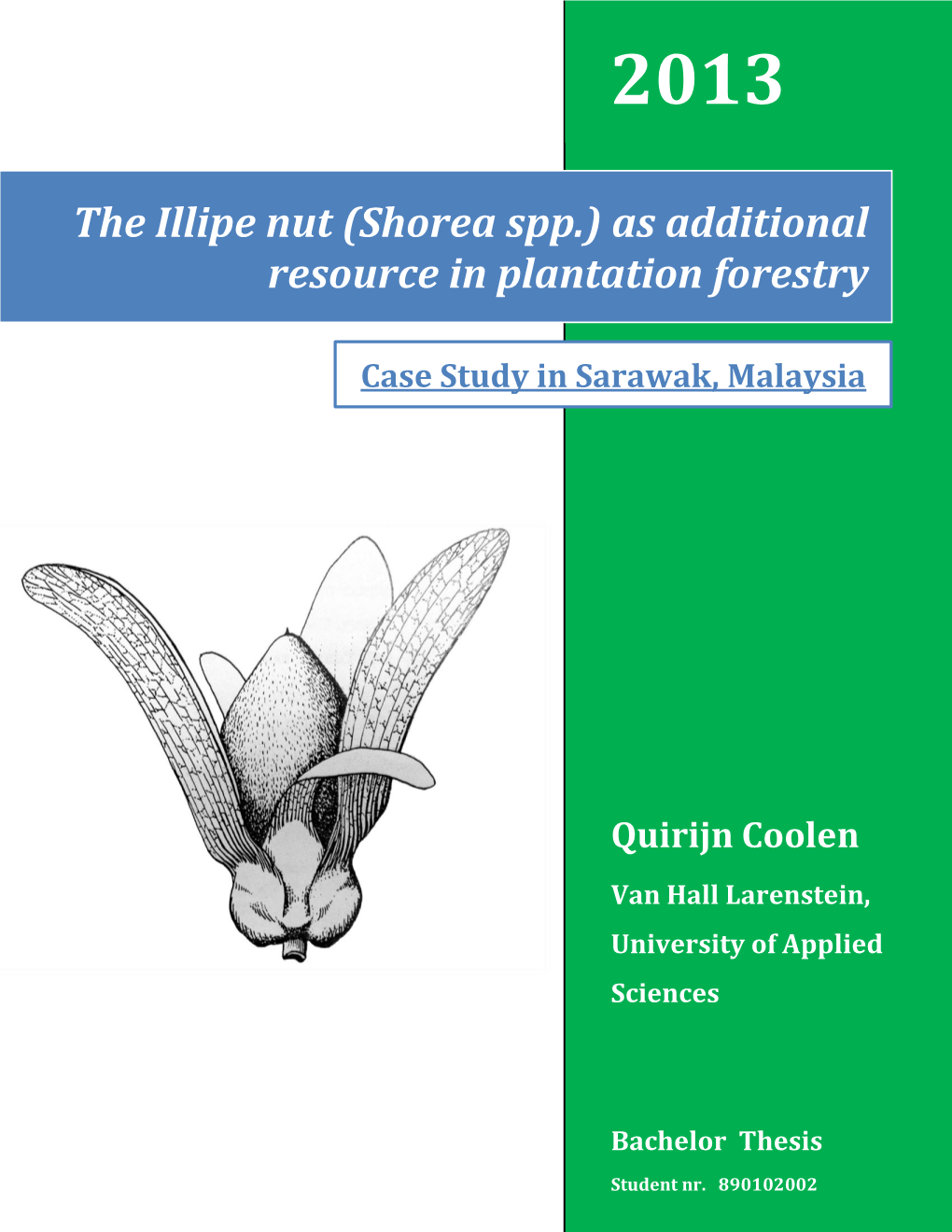 The Illipe Nut (Shorea Spp.) As Additional Resource in Plantation Forestry