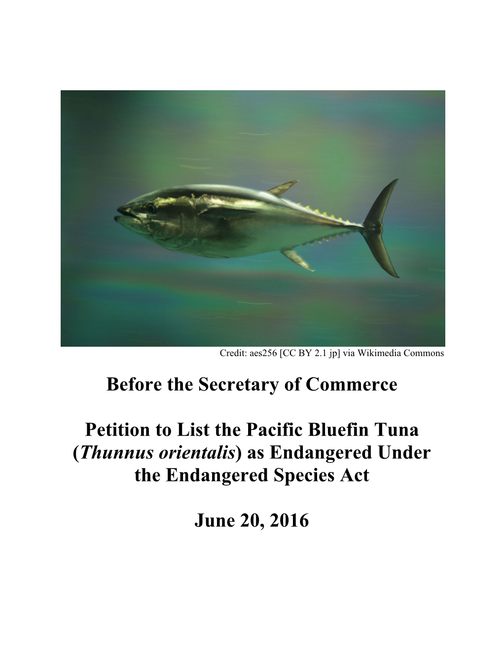 Before the Secretary of Commerce Petition to List the Pacific Bluefin Tuna