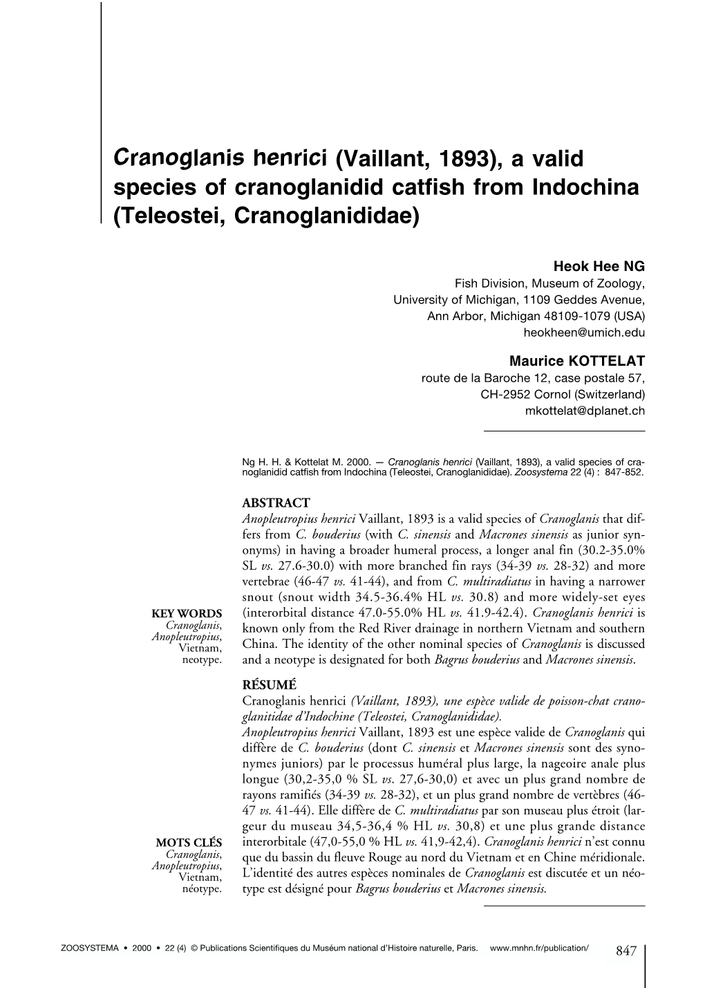 Cranoglanis Henrici (Vaillant, 1893), a Valid Species of Cranoglanidid Catfish from Indochina (Teleostei, Cranoglanididae)