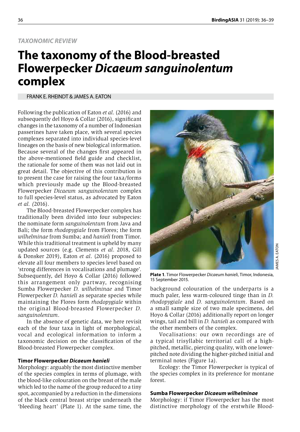 The Taxonomy of the Blood-Breasted Flowerpecker Dicaeum Sanguinolentum Complex