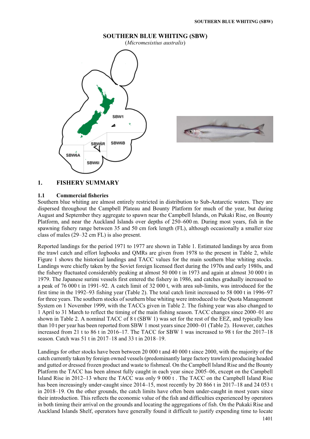 Southern Blue Whiting (Sbw)