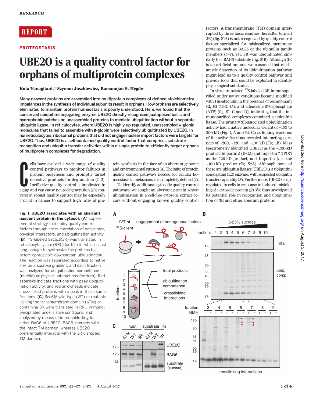 UBE2O Is a Quality Control Factor for Orphans of Multi-Protein Complexes