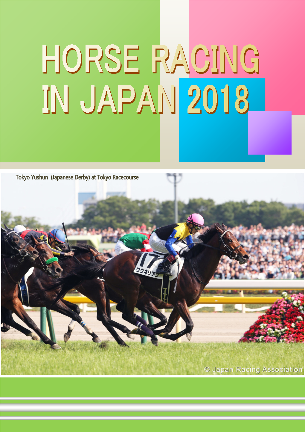 JRA Racing 3 Races 3 Betting 8 Customer Services 10 JRA Racecourses 12 JRA Training Centers 16 Other JRA-Related Facilities 19