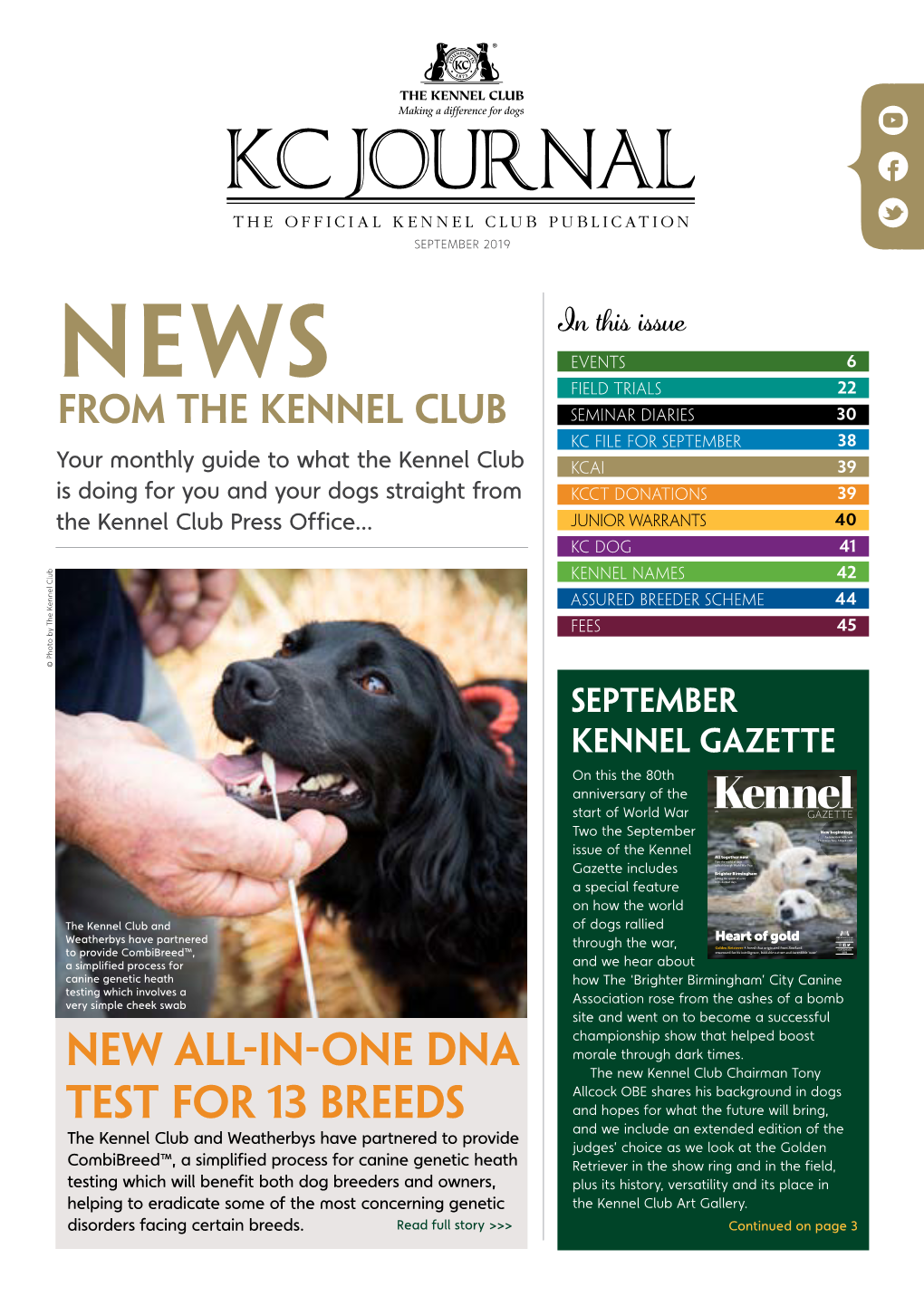 New All-In-One Dna Test for 13 Breeds