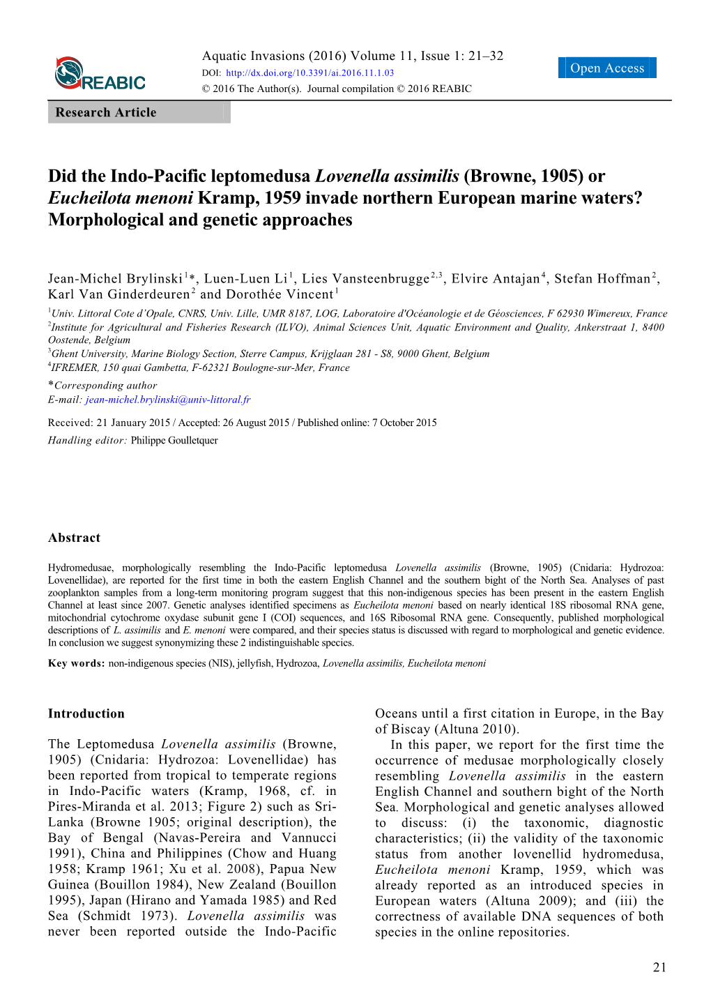 Did the Indo-Pacific Leptomedusa Lovenella