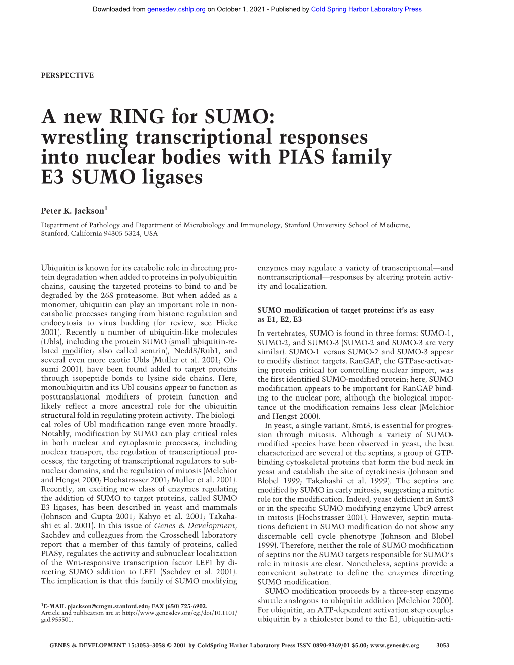 A New RING for SUMO: Wrestling Transcriptional Responses Into Nuclear Bodies with PIAS Family E3 SUMO Ligases
