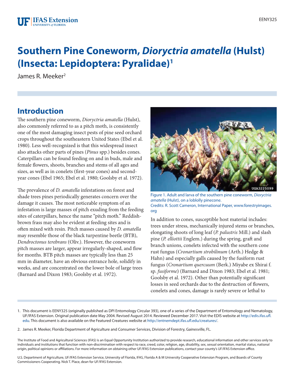 Southern Pine Coneworm, Dioryctria Amatella (Hulst) (Insecta: Lepidoptera: Pyralidae)1 James R