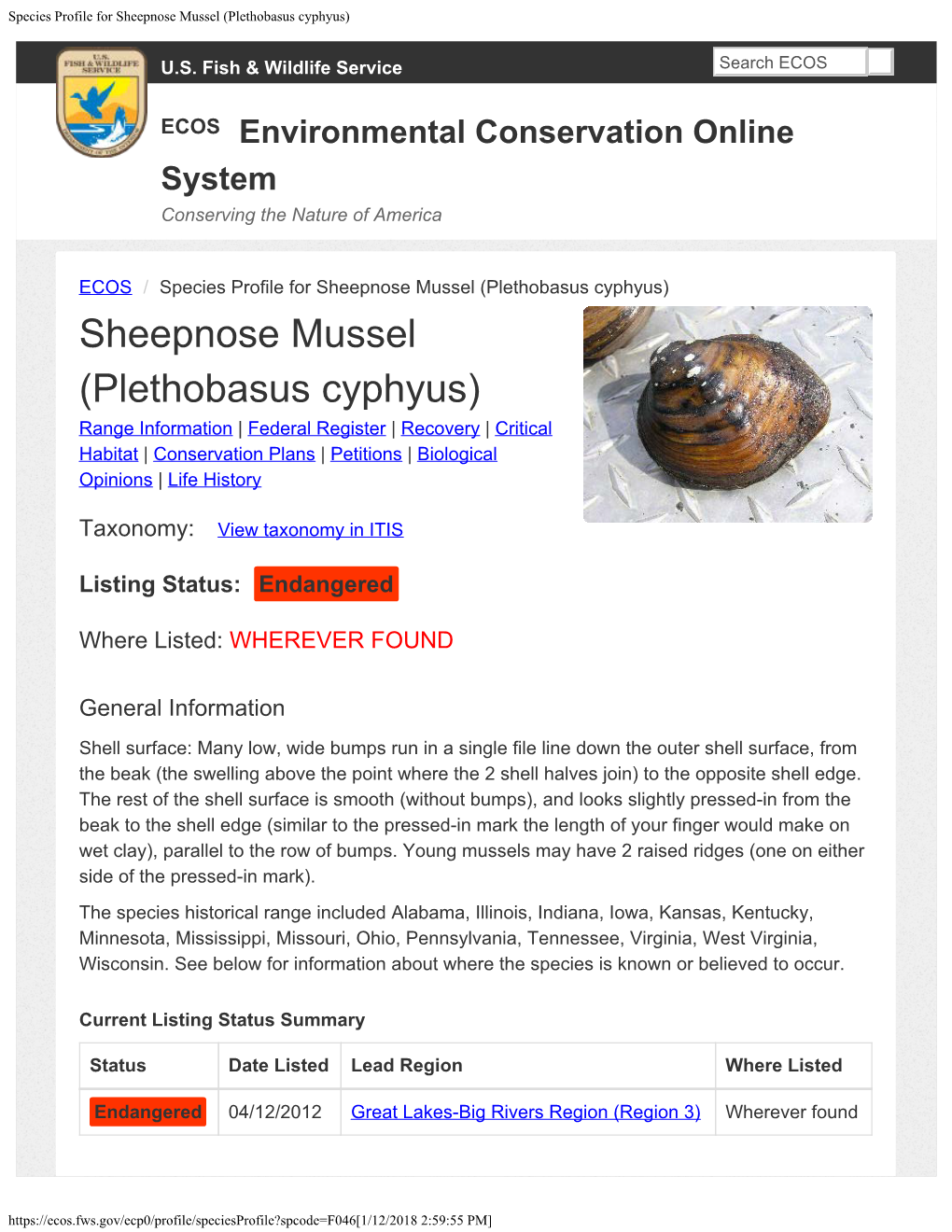 FWS 2017- TN5371--FWS 2017 Sheepnose Mussel