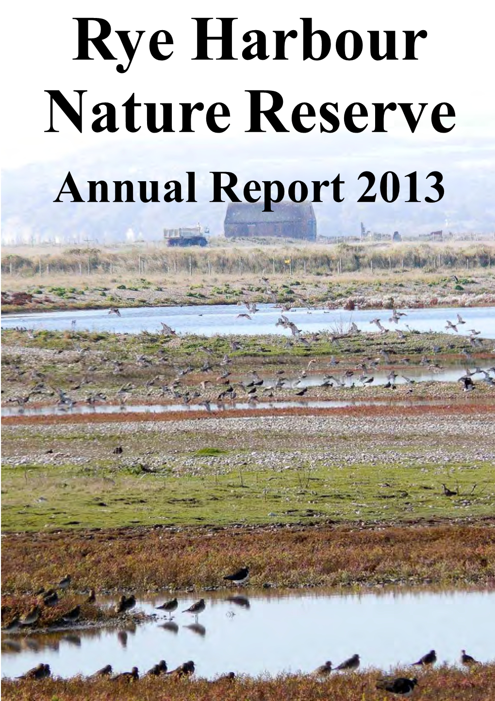 Annual Report 2013