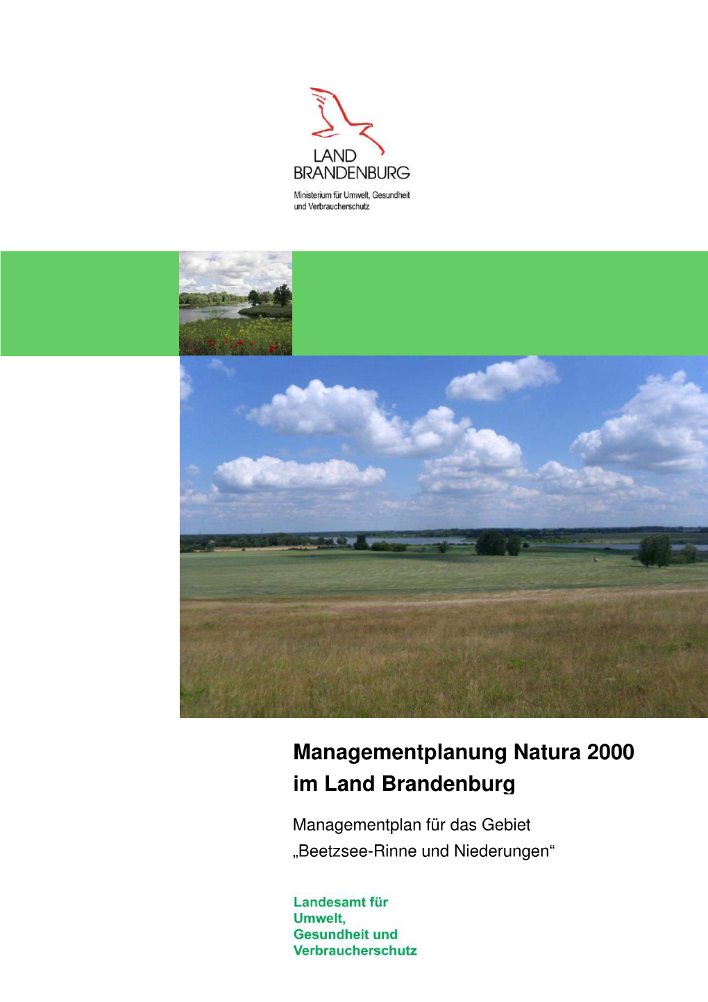 Managementplan Für Das Gebiet „Beetzsee-Rinne Und Niederungen “