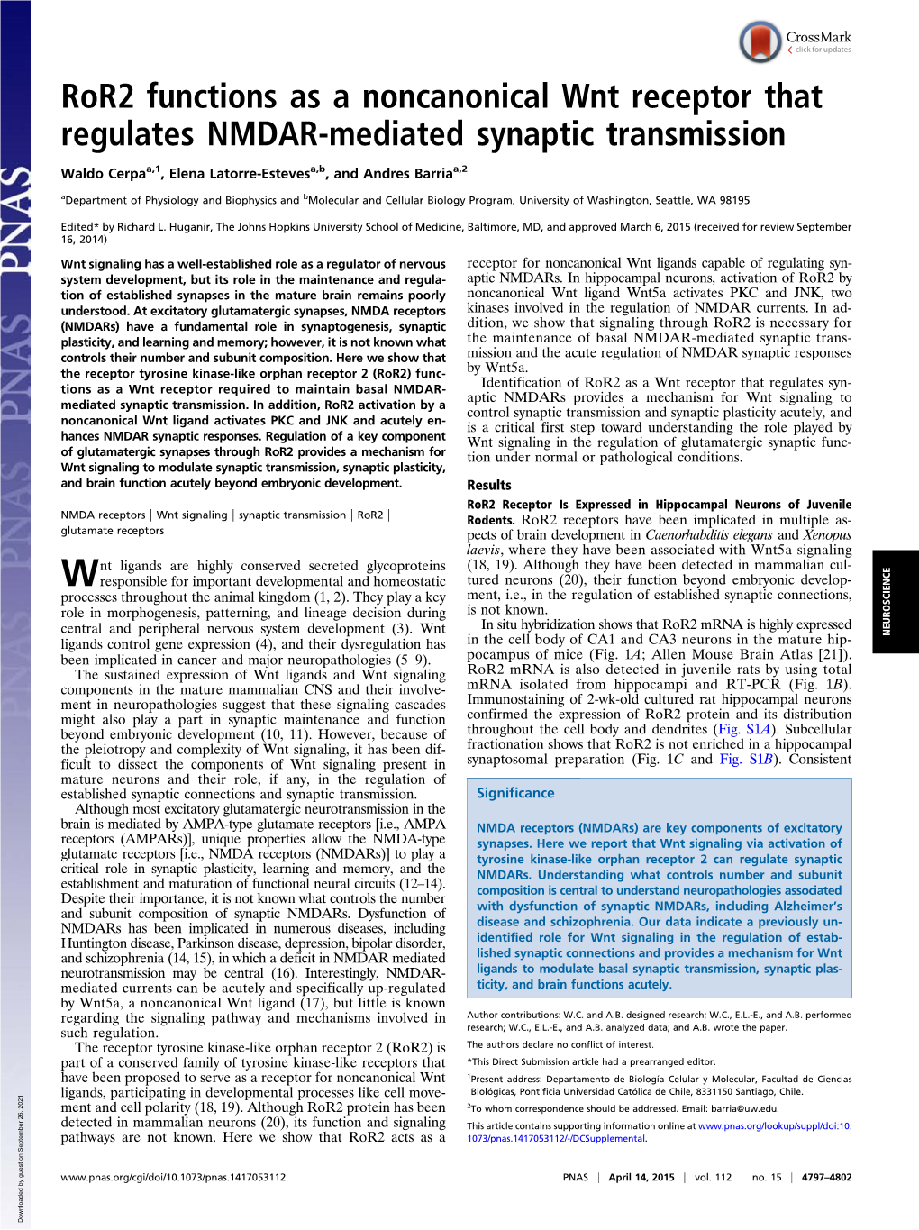 Ror2 Functions As a Noncanonical Wnt Receptor That Regulates NMDAR-Mediated Synaptic Transmission