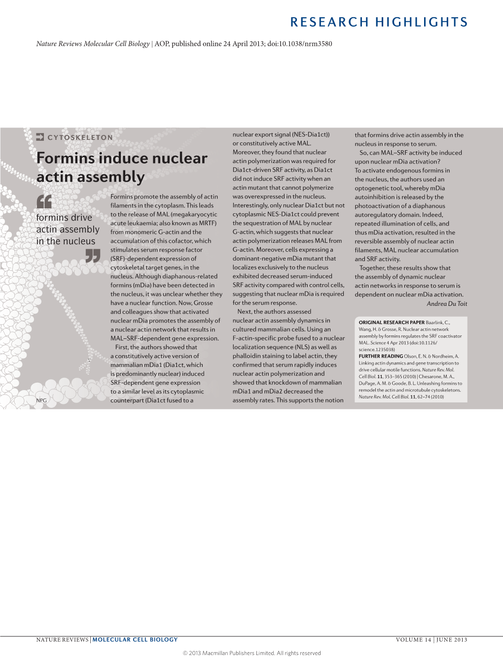 Cytoskeleton: Formins Induce Nuclear Actin Assembly