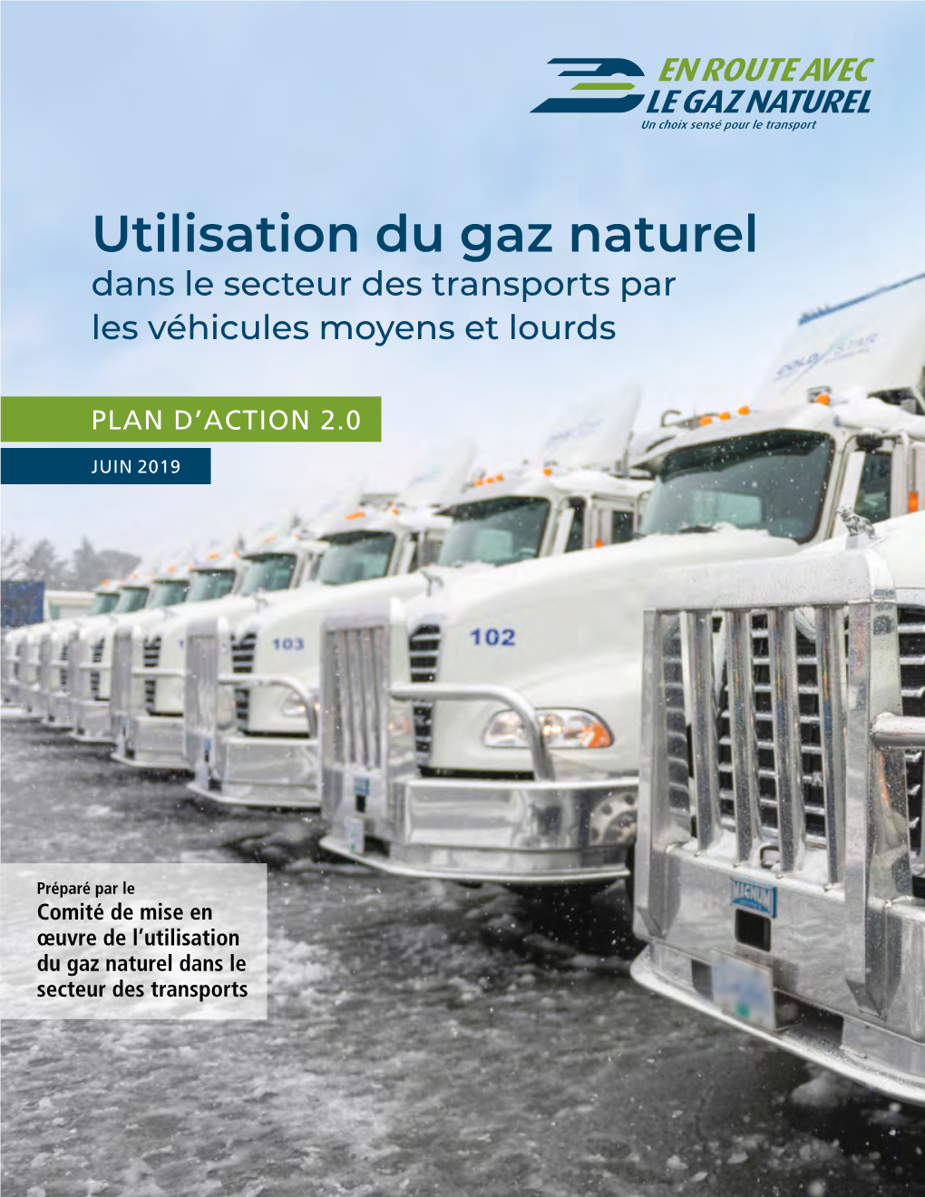 Utilisation Du Gaz Naturel Dans Le Secteur Des Transports Par Les Véhicules Moyens Et Lourds