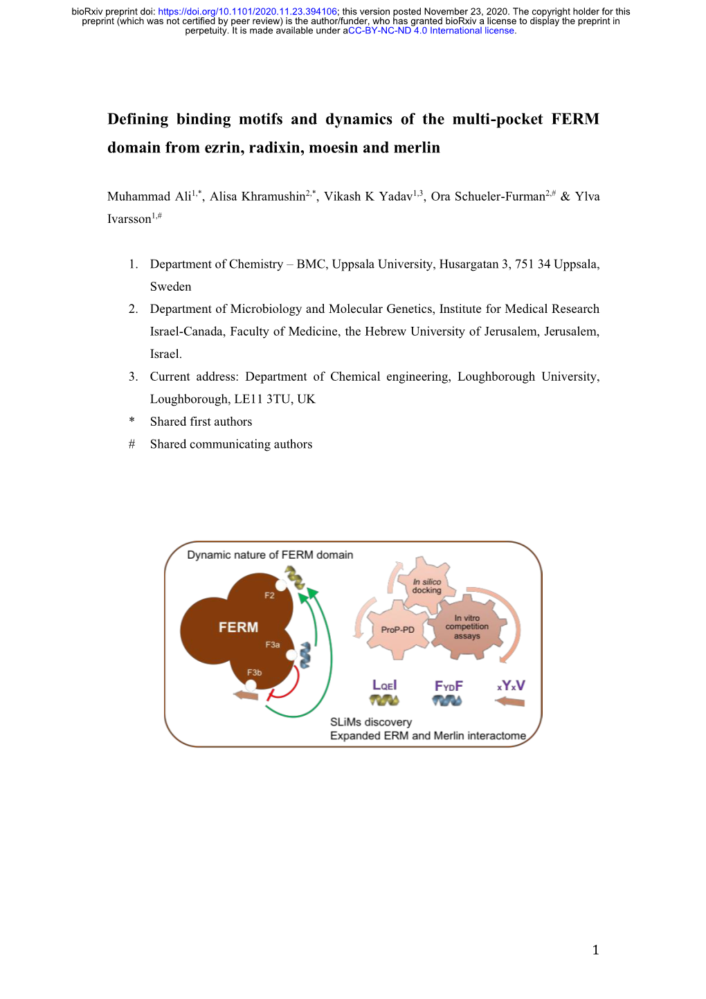 Defining Binding Motifs and Dynamics of the Multi-Pocket FERM Domain from Ezrin, Radixin, Moesin and Merlin