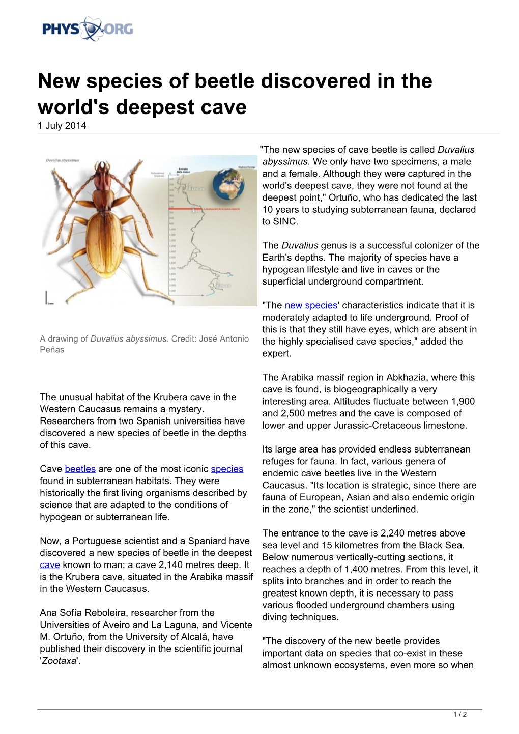 New Species of Beetle Discovered in the World's Deepest Cave 1 July 2014