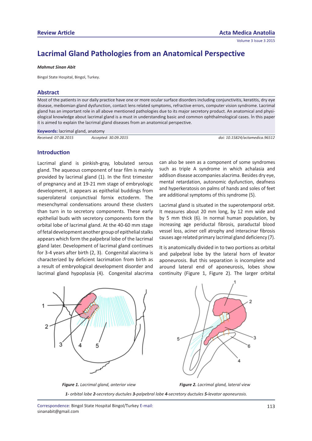 Lacrimal Gland Pathologies from an Anatomical Perspective