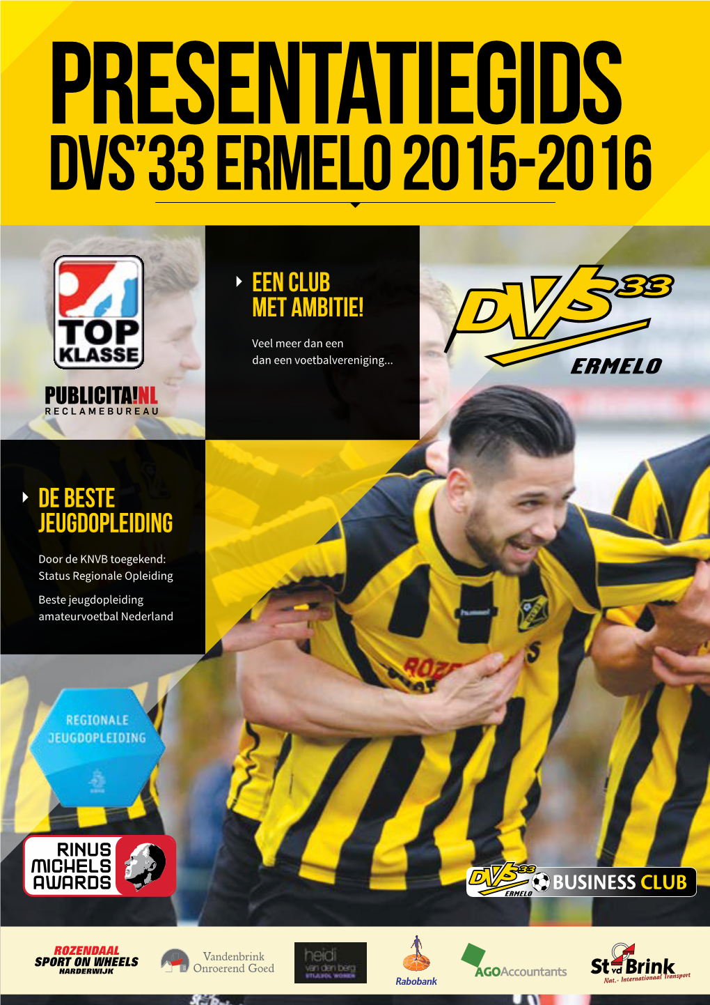 DVS'33 Ermelo 2015-2016