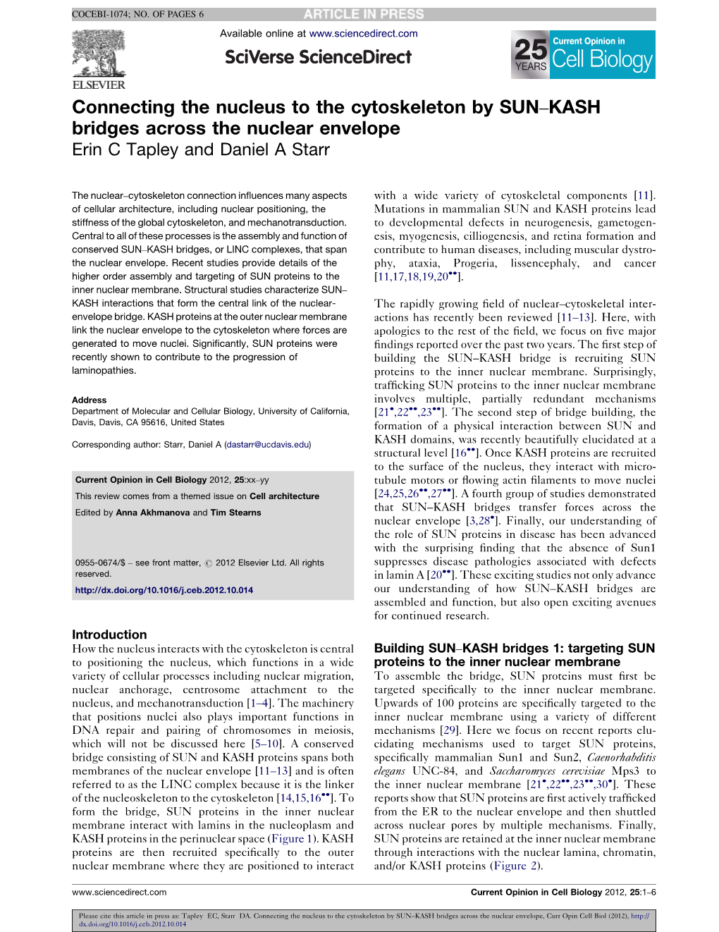 Connecting the Nucleus to the Cytoskeleton by SUN–KASH