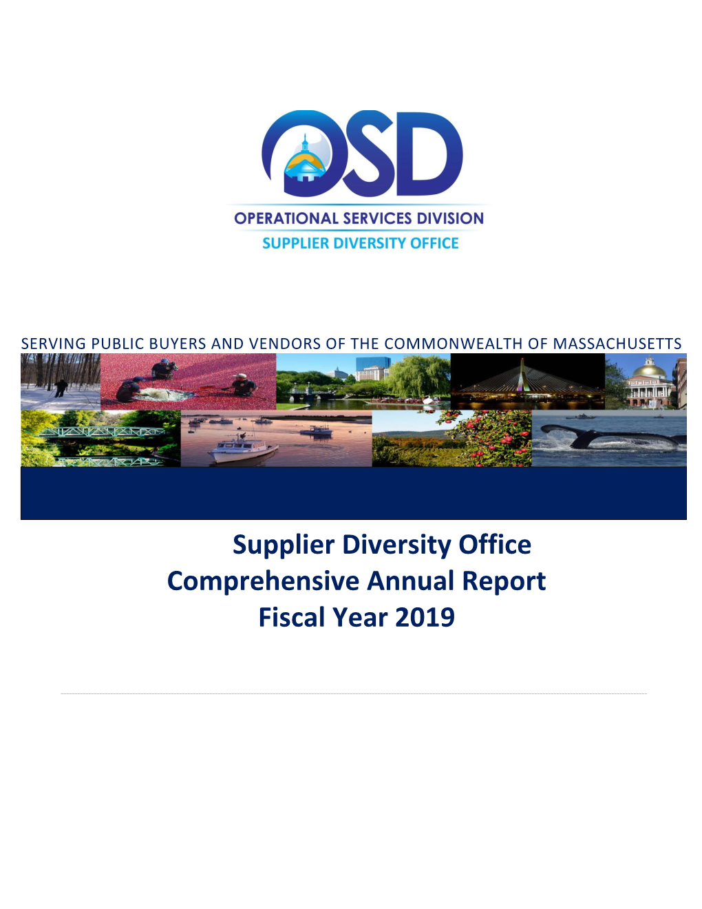 Supplier Diversity Office Comprehensive Annual Report Fiscal Year 2019