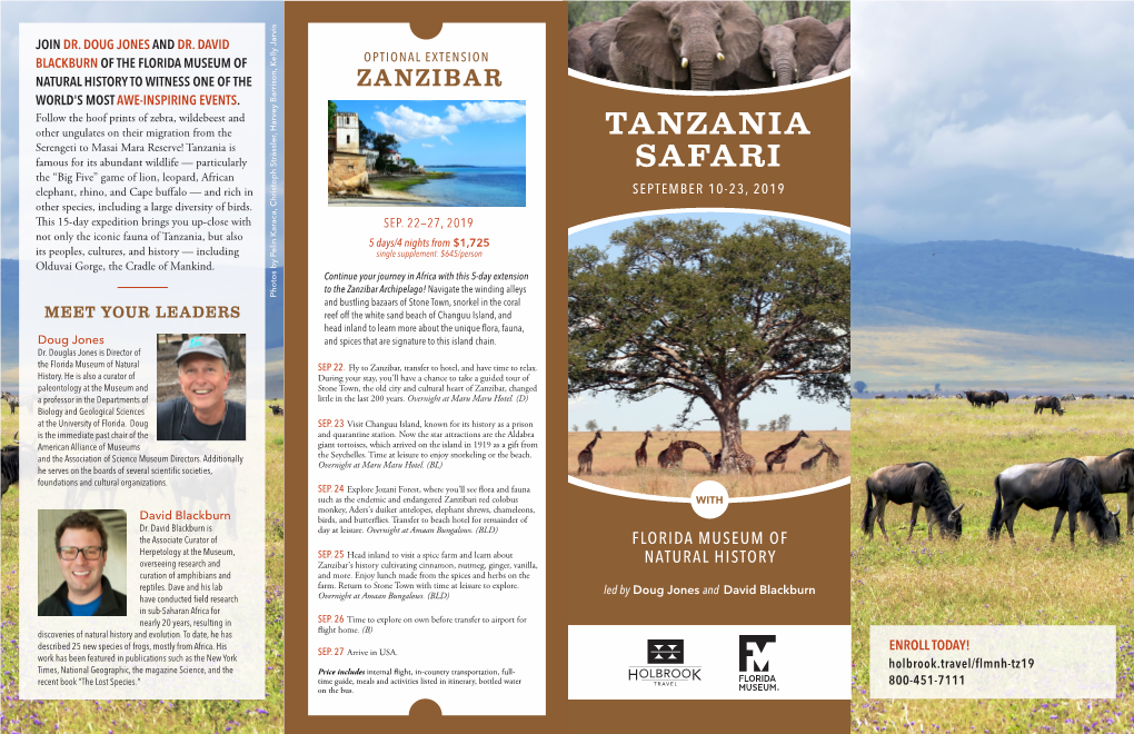 Tanzania Safari