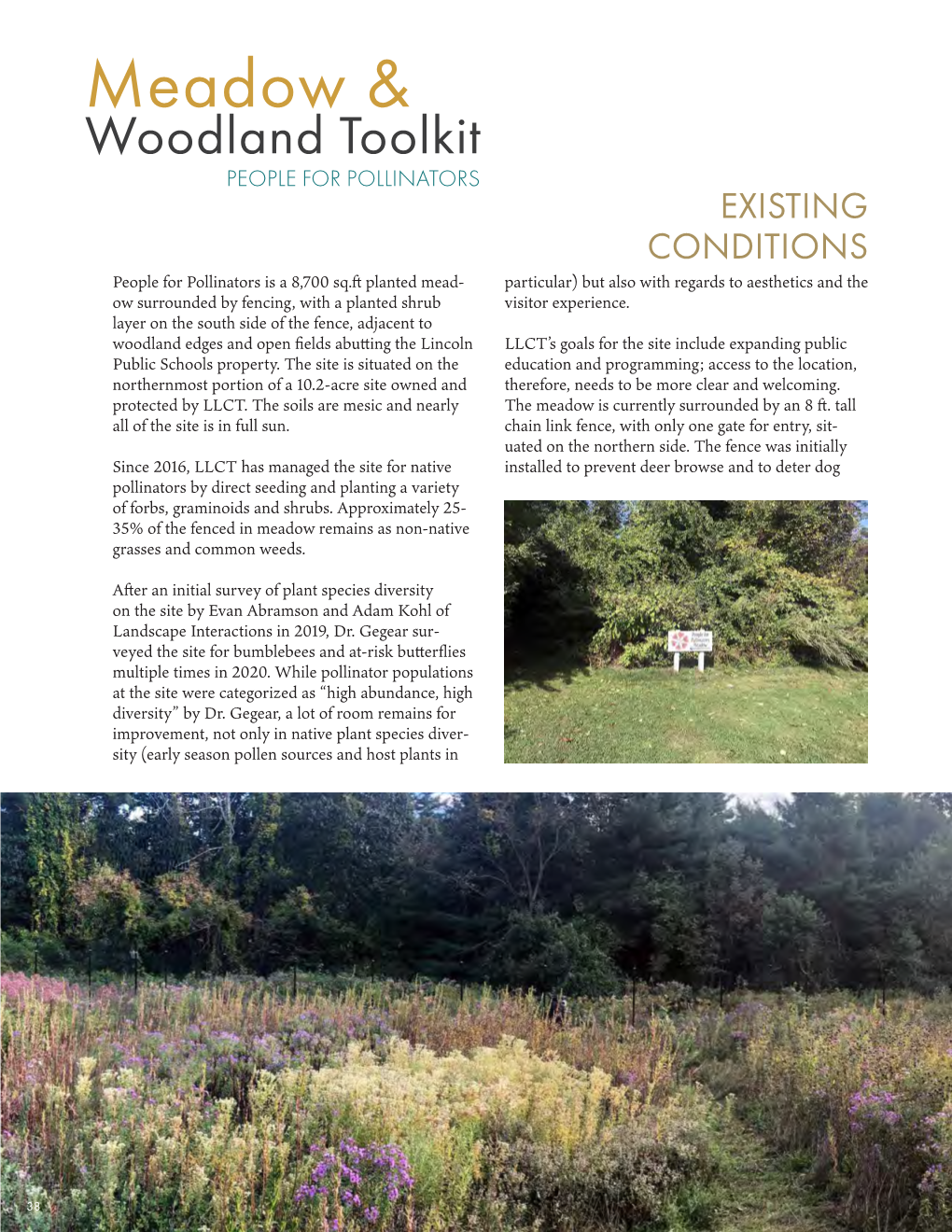 Meadow and Woodland Toolkit