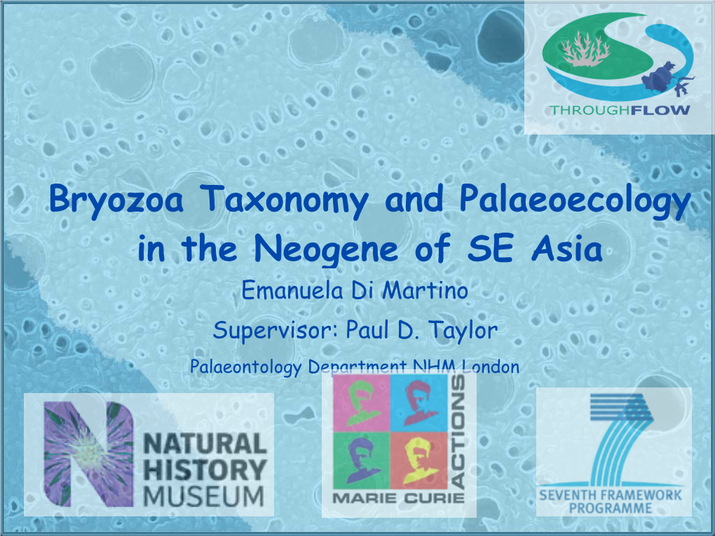 Bryozoa Taxonomy and Palaeoecology in the Neogene of SE Asia Emanuela Di Martino Supervisor: Paul D