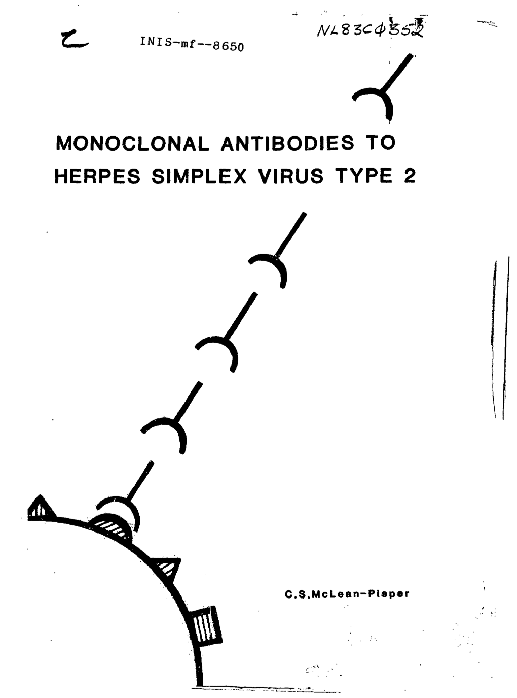Monoclonal Antibodies to Herpes Simplex Virus Type 2