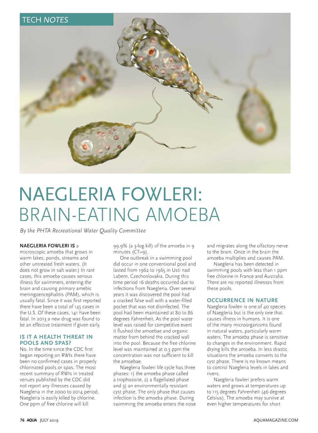 NAEGLERIA FOWLERI: BRAIN-EATING AMOEBA by the PHTA Recreational Water Quality Committee