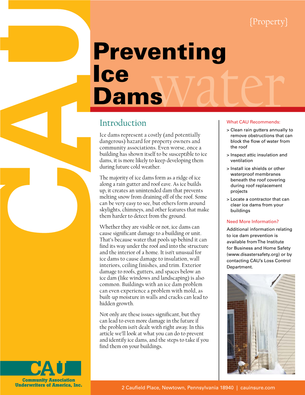 Preventing Ice Dams