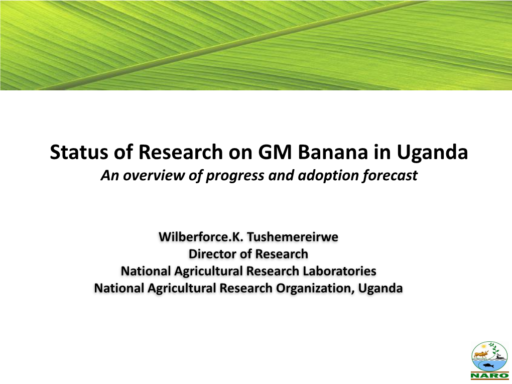 Banana in Uganda an Overview of Progress and Adoption Forecast