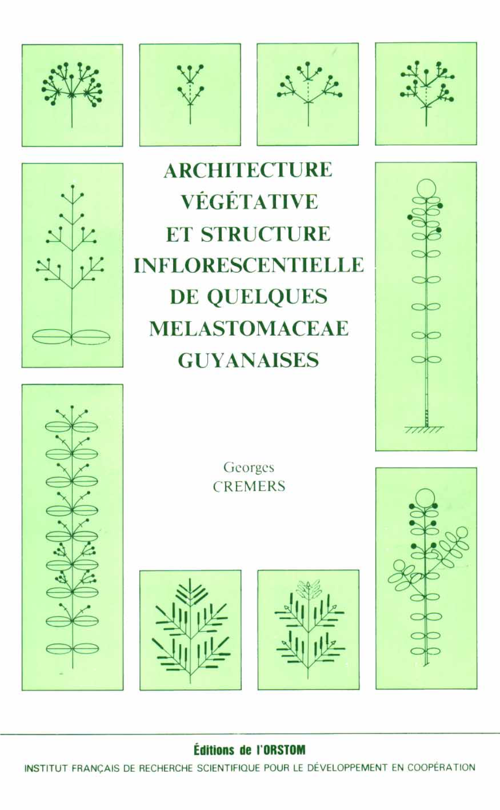 Architecture Végétative Et Structure Inflorescentielle De