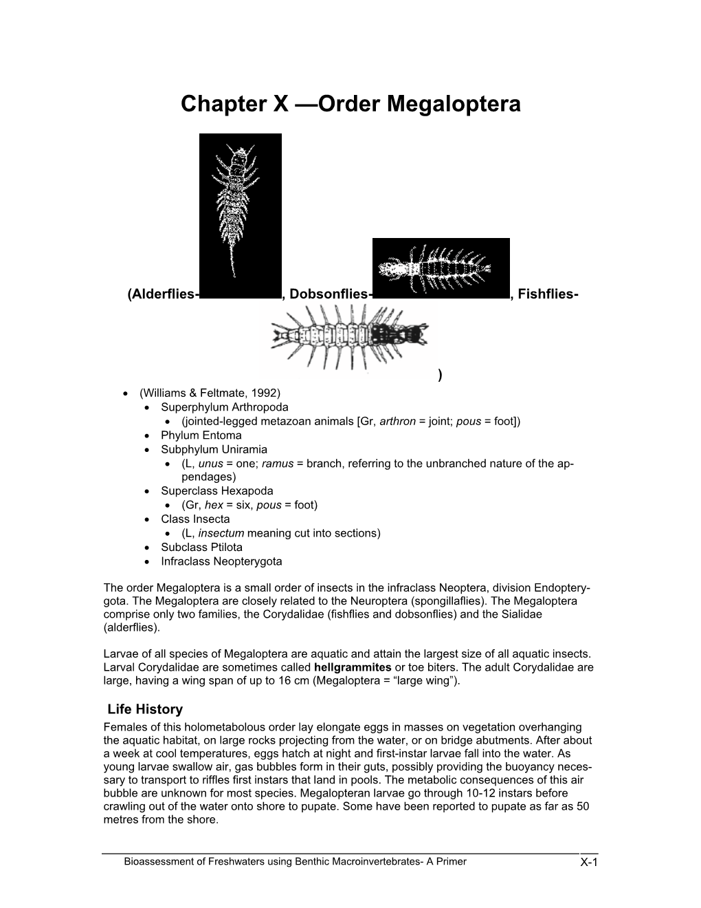 Chapter X —Order Megaloptera