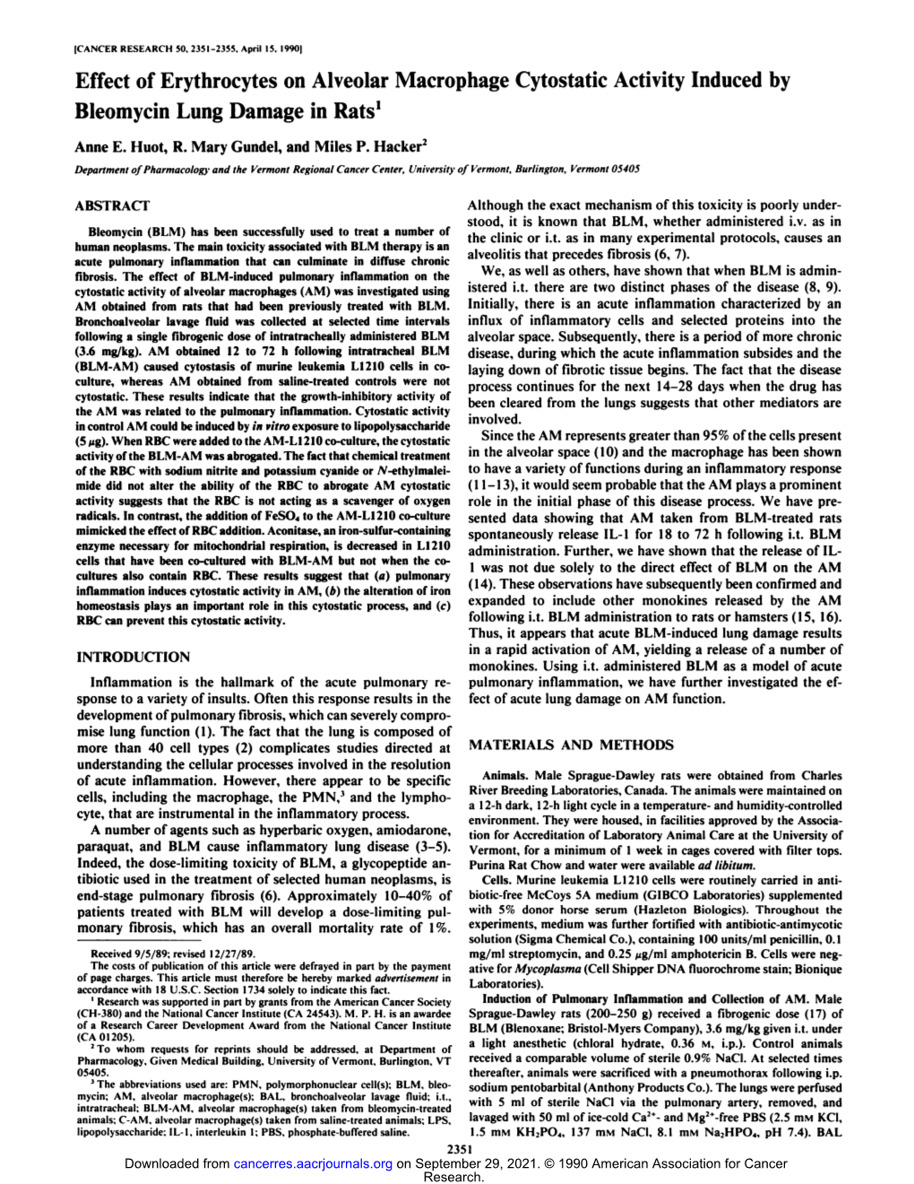 Effect of Erythrocytes on Alveolar Macrophage Cytostatic Activity Induced by Bleomycin Lung Damage in Rats'