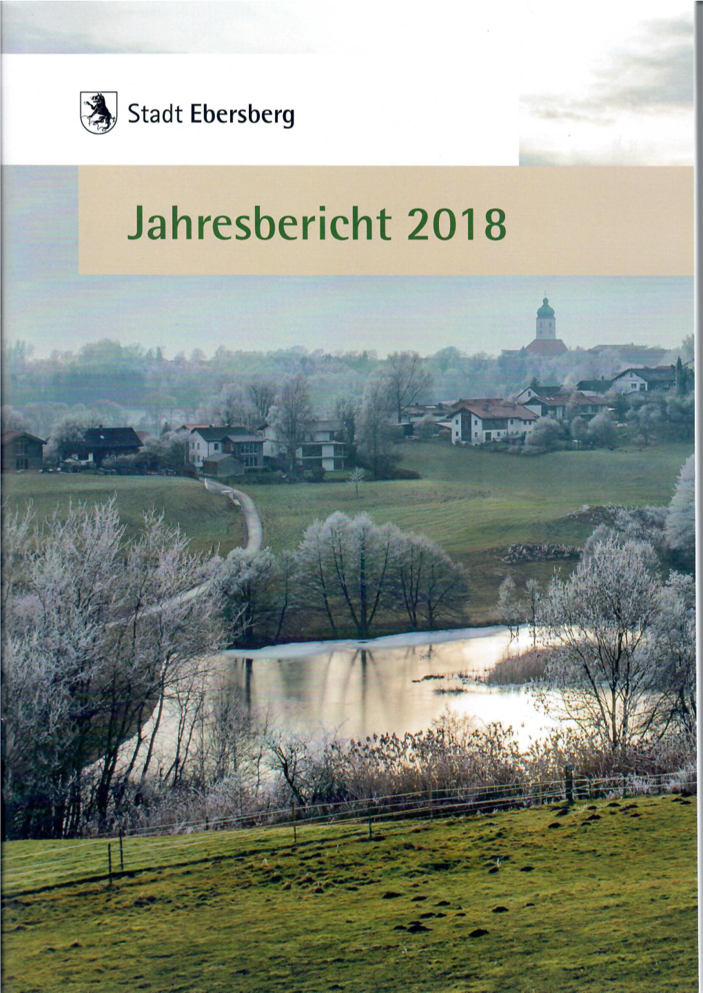 Bürgerbericht 2018