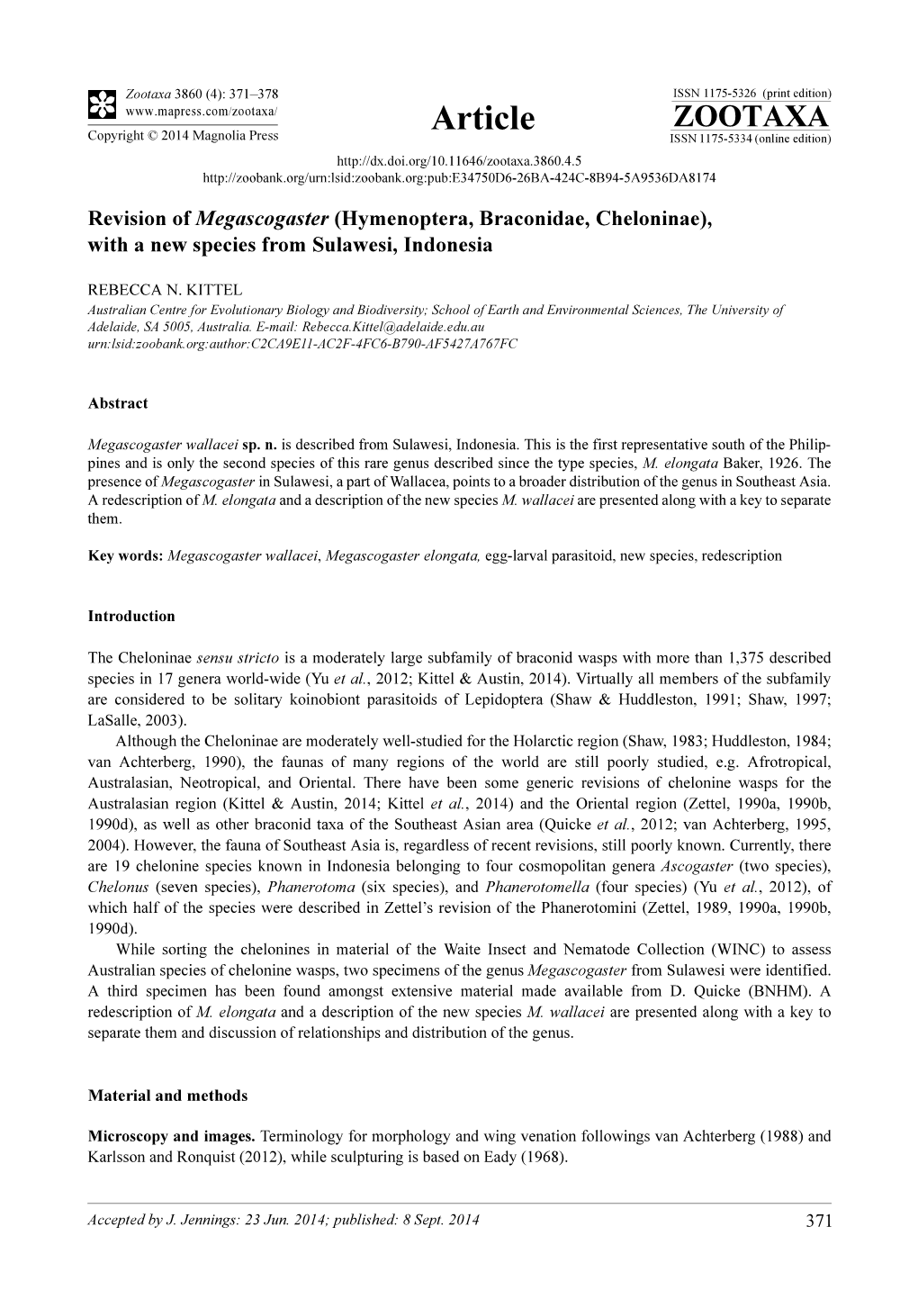 Revision of Megascogaster (Hymenoptera, Braconidae, Cheloninae), with a New Species from Sulawesi, Indonesia