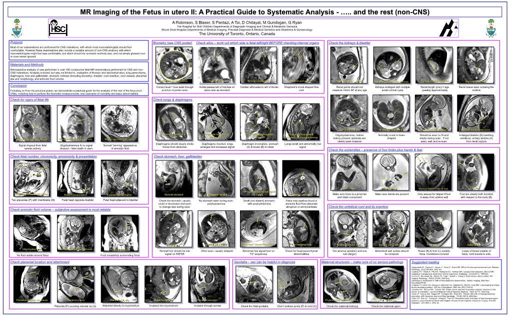 MR Imaging of the Fetus in Utero II: a Practical Guide to Systematic Analysis - …