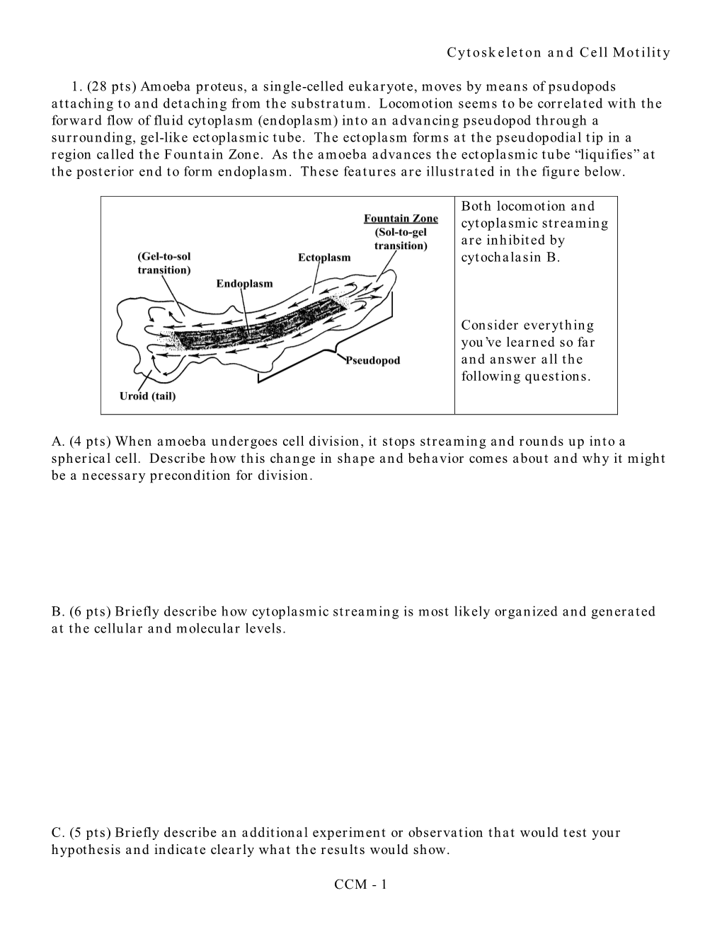 Cytoskeleton and Cell Motility