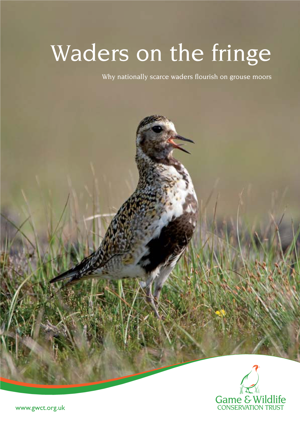 Upland Predation Experiment 09.Indd