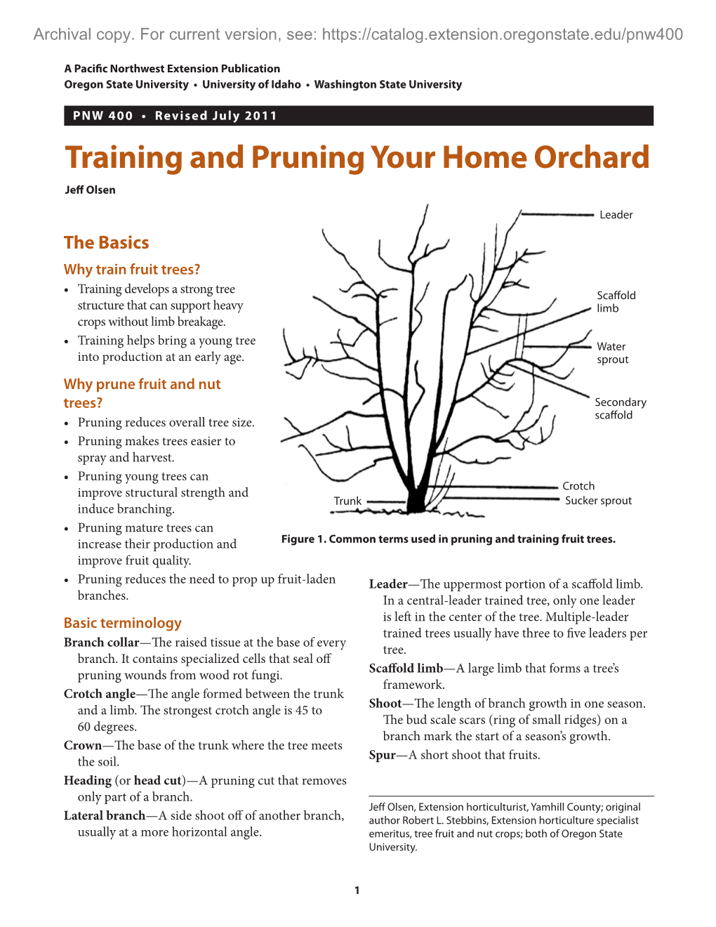 Training and Pruning Your Home Orchard Jeff Olsen