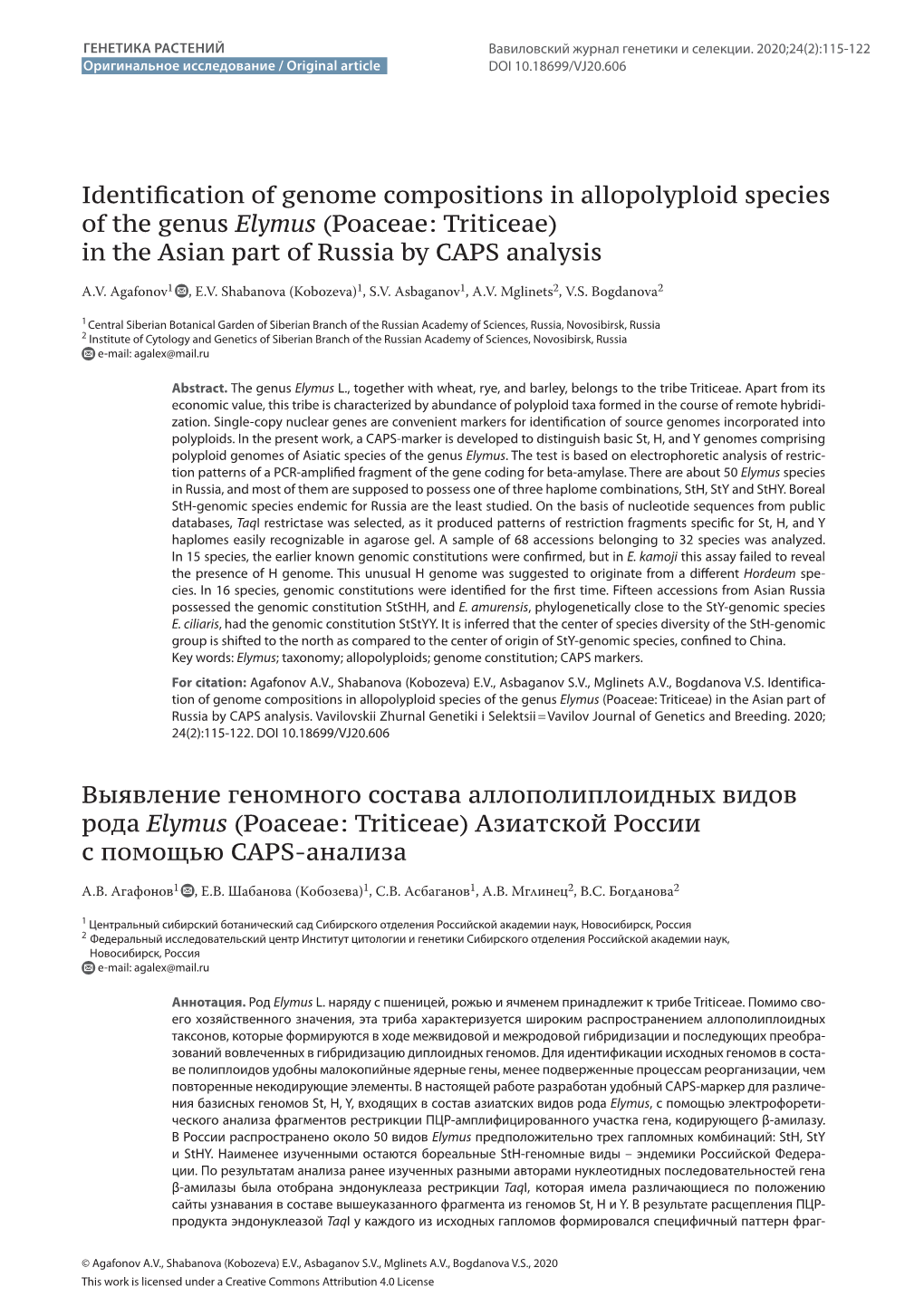 Identification of Genome Compositions in Allopolyploid Species of the Genus Elymus (Poaceae: Triticeae) in the Asian Part of Russia by CAPS Analysis