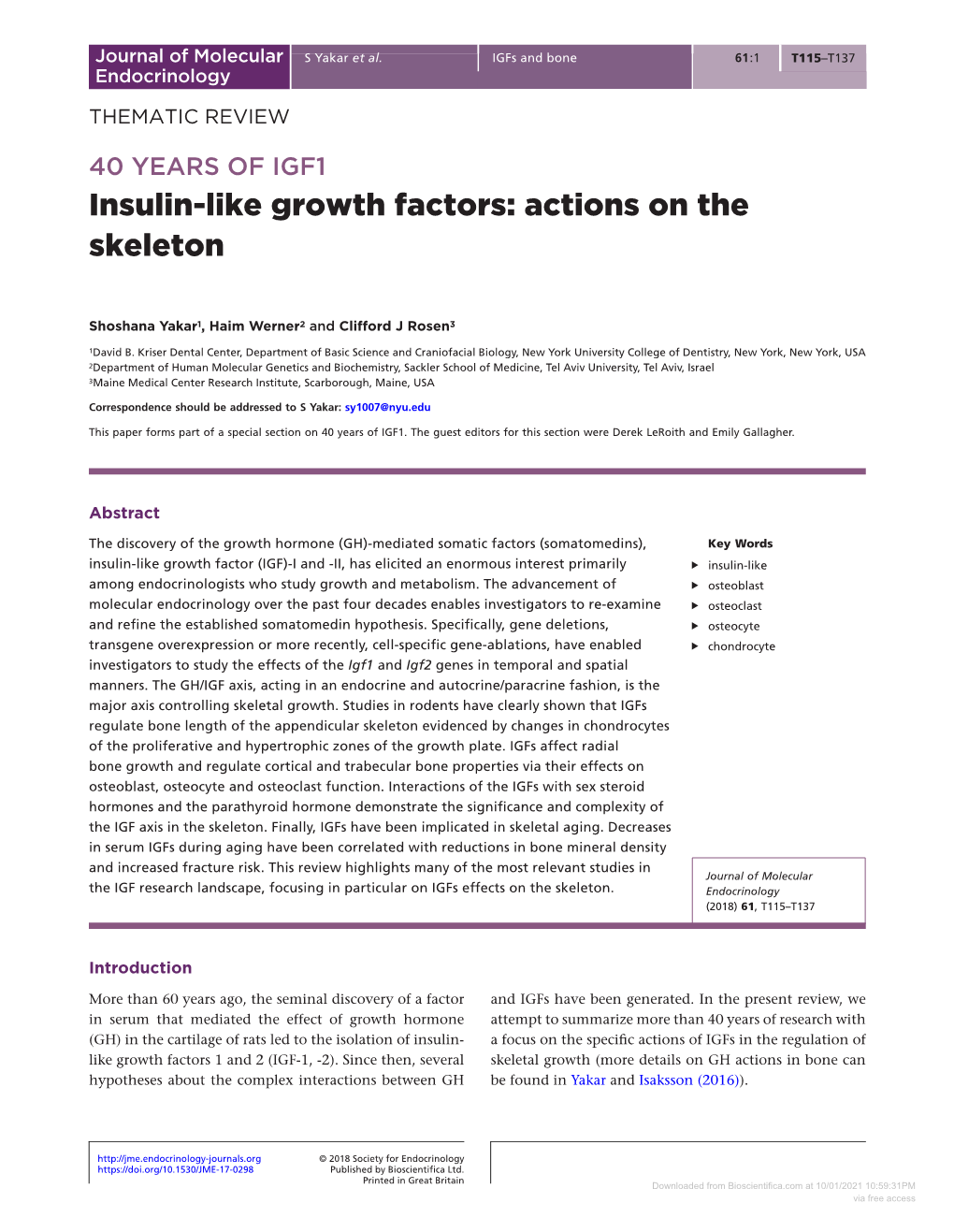 Insulin-Like Growth Factors: Actions on the Skeleton