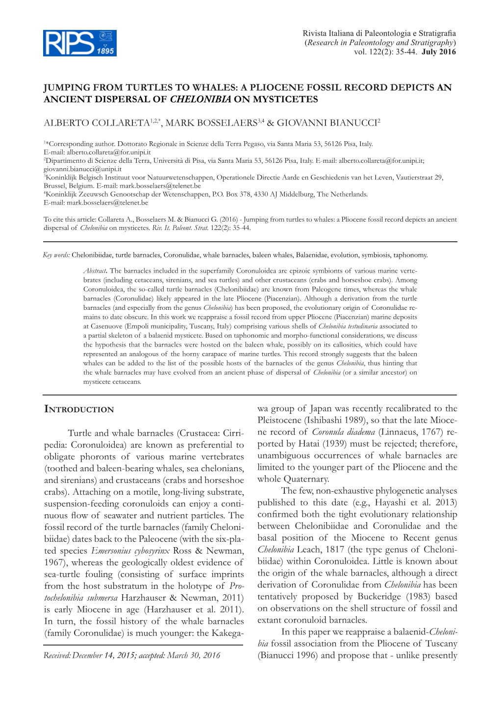 Jumping from Turtles to Whales: a Pliocene Fossil Record Depicts an Ancient Dispersal of Chelonibia on Mysticetes