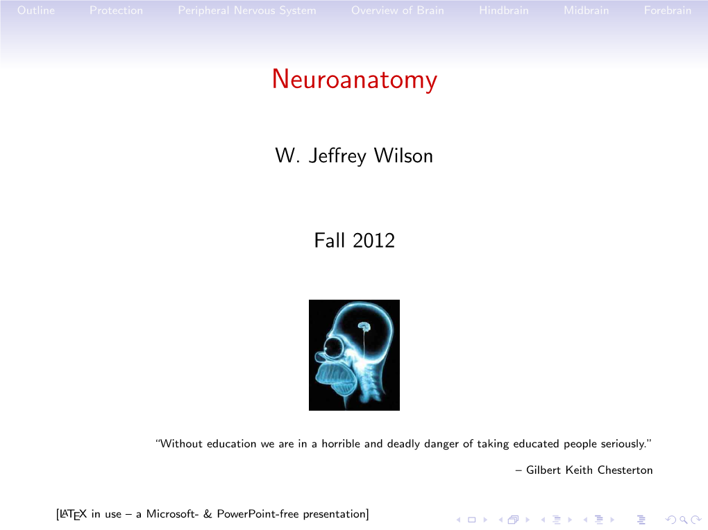 Neuroanatomy