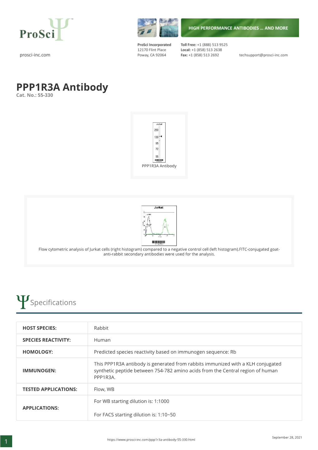 PPP1R3A Antibody Cat