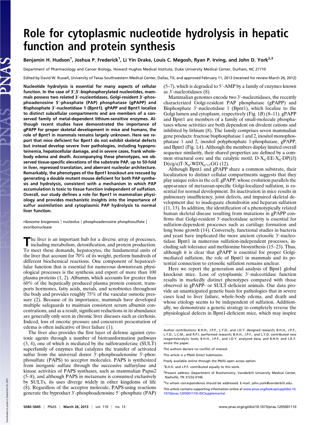 Role for Cytoplasmic Nucleotide Hydrolysis in Hepatic Function and Protein Synthesis