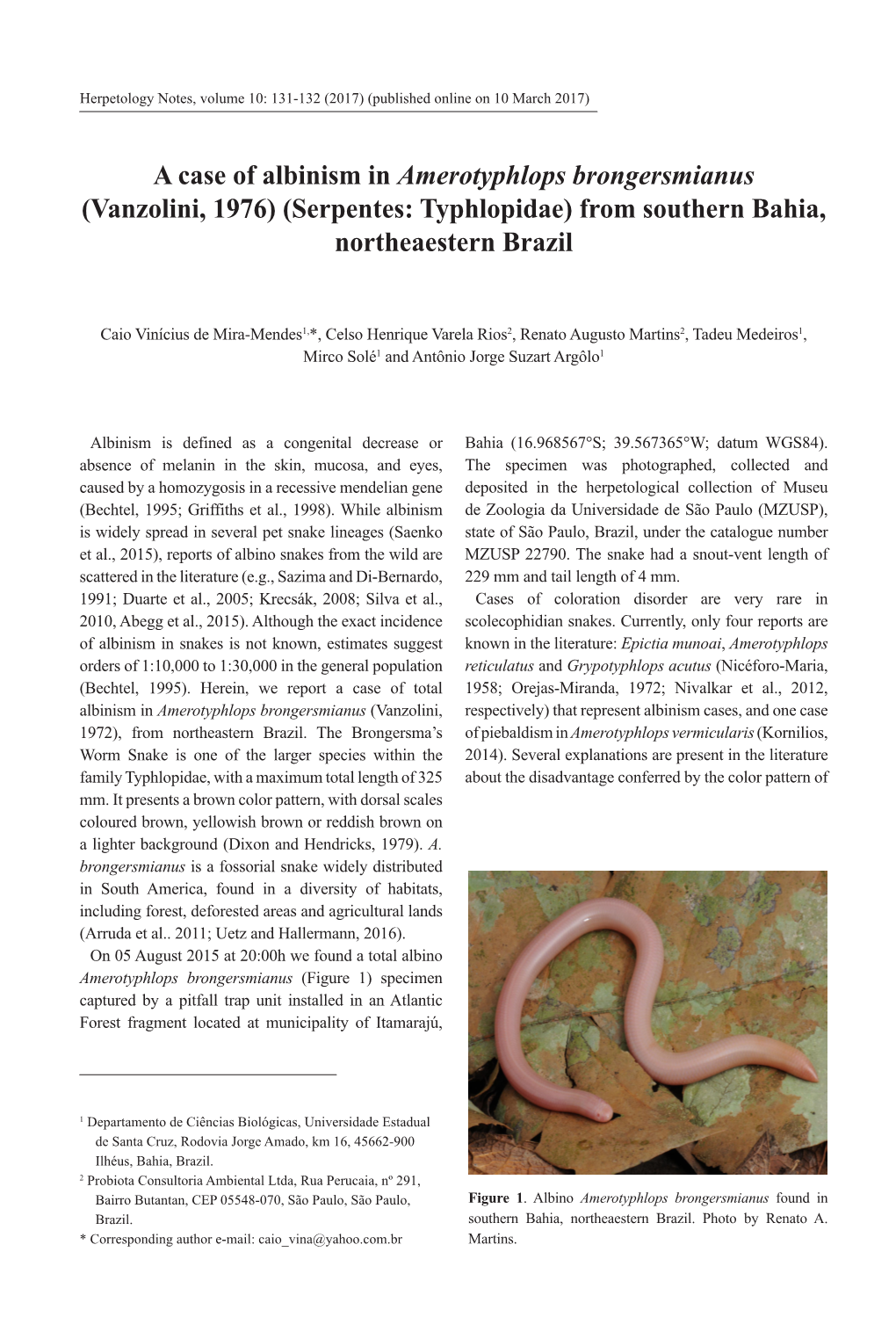 A Case of Albinism in Amerotyphlops Brongersmianus (Vanzolini, 1976) (Serpentes: Typhlopidae) from Southern Bahia, Northeaestern Brazil