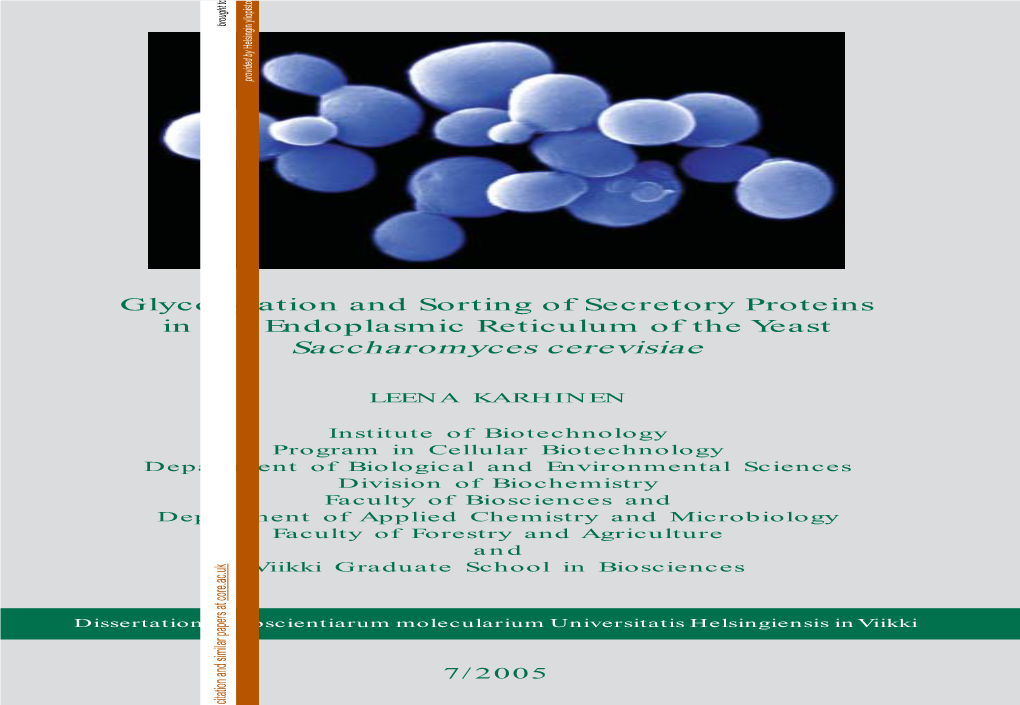 Glycosylation and Sorting of Secretory Proteins in the Endoplasmic