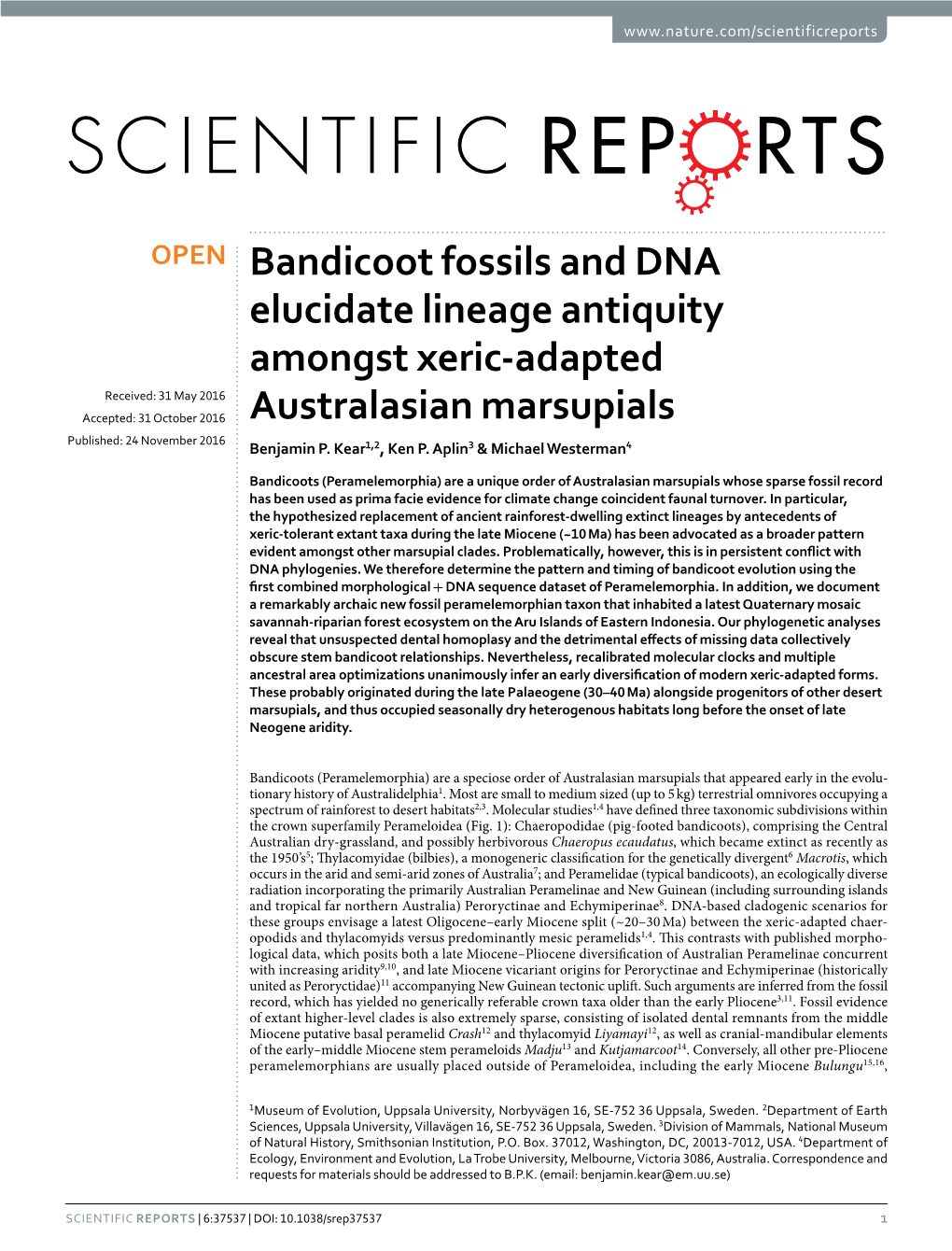 Bandicoot Fossils and DNA Elucidate Lineage Antiquity Amongst Xeric